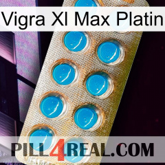 Vigra Xl Max Platinum new09